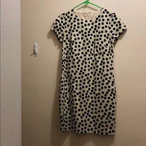 J Crew Polka Dot Dress